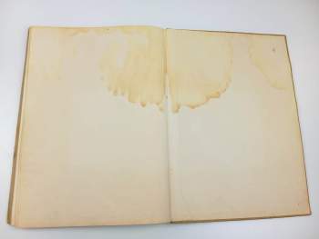 Felix Achilles de la Cámara: Čarodějovy pohádky