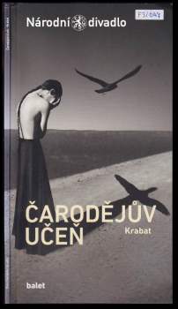 Čarodějův učeň - Krabat