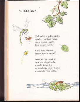 Jan Čarek: Čarokruh