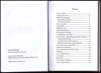 Jan Osolsobě: Čarovná koule