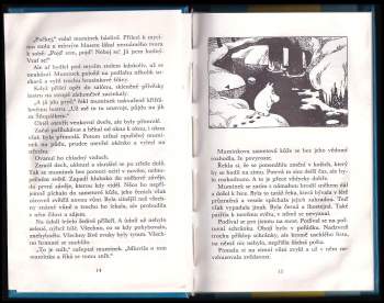 Tove Jansson: Čarovná zima