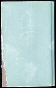 Matthew Harffy: Čas mečů