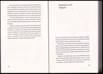 Alena Mornštajnová: Čas vos