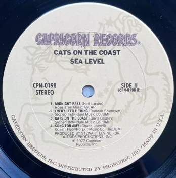 Sea Level: Cats On The Coast