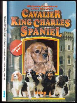Michaela Čermáková: Cavalier King Charles Spaniel