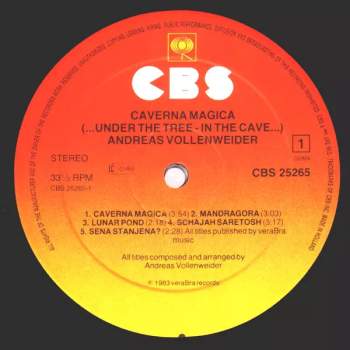 Andreas Vollenweider: Caverna Magica (...Under The Tree - In The Cave...)
