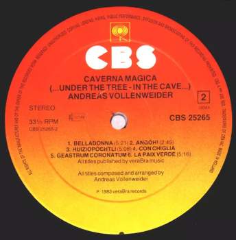 Andreas Vollenweider: Caverna Magica (...Under The Tree - In The Cave...)