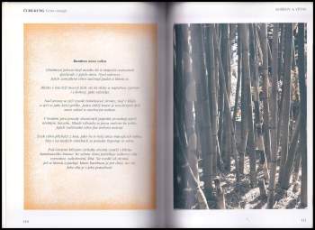 Kam Chuen Lam: Čchi-kung