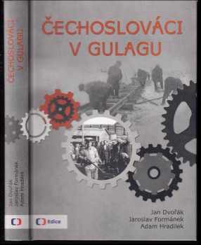 Čechoslováci v Gulagu : Životní osudy krajanů postižených politickými represemi v Sovětském svazu