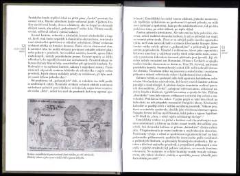 Josef Žemlička: Čechy v době knížecí