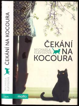 Čekání na kocoura