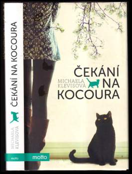 Čekání na kocoura