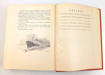 František Sokol Tůma: Celibát