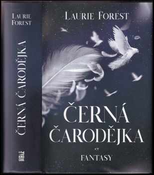 Laurie Forest: Černá čarodějka