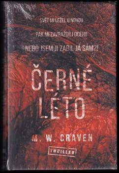 Černé léto