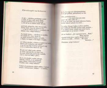 Marina Ivanovna Cvetajeva: Černé slunce