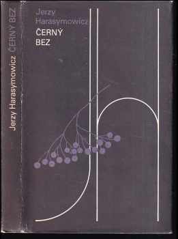 Černý bez