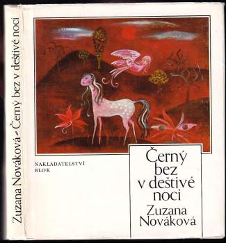 Černý bez v deštivé noci