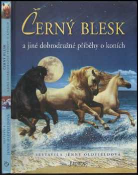 Jenny Oldfield: Černý blesk a jiné dobrodružné příběhy o koních