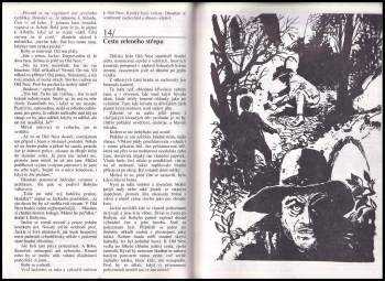 Eduard Fiker: Černý Blesk