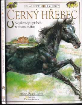 Černý hřebec