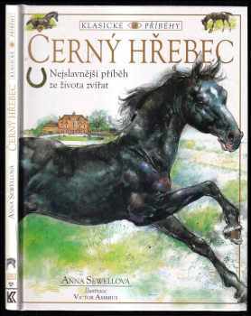 Černý hřebec