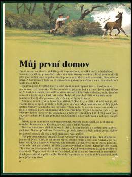 Anna Sewell: Černý krasavec