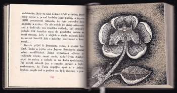 Anton Pavlovič Čechov: Černý mnich