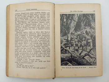 Karl May: Černý Mustang