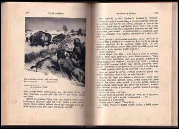 Karl May: Černý Mustang