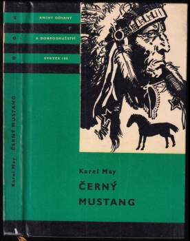 Černý mustang