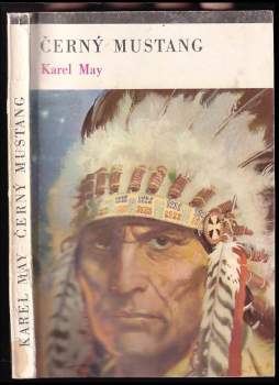 Černý mustang