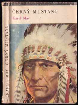 Černý mustang