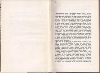 Erich Maria Remarque: Černý obelisk