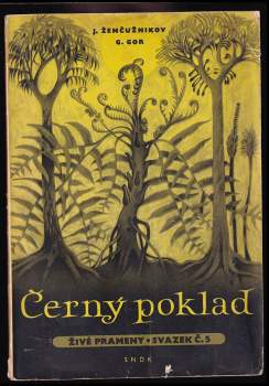 Černý poklad