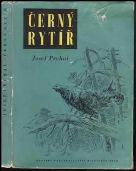 Josef Prchal: Černý rytíř