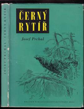 Josef Prchal: Černý rytíř