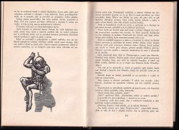 Robert Louis Stevenson: Černý šíp