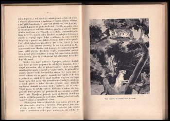 Llewelyn Powys: Černý smích