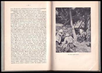 Llewelyn Powys: Černý smích