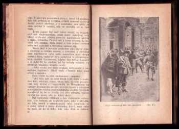 Alexandre Dumas: Černý tulipán