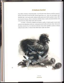 Jan Michálek: Čerti, bosorky a iné strašidlá