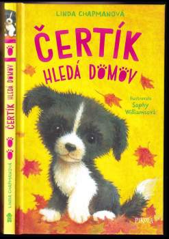Čertík hledá domov