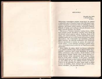 Stendhal: Červený a černý