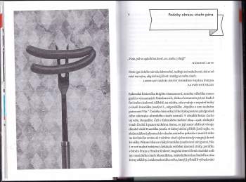 Jiří Kamen: Češi patří k Vídni, aneb, Třicet dva výprav do Vídně v českých stopách