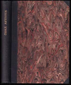 Česká aktivita v letech 1878-1918