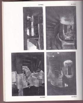 Česká fotografická moderna