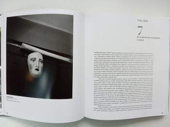Vladimir Birgus: Česká fotografie 20. století