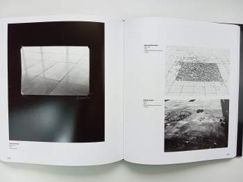 Vladimir Birgus: Česká fotografie 20. století