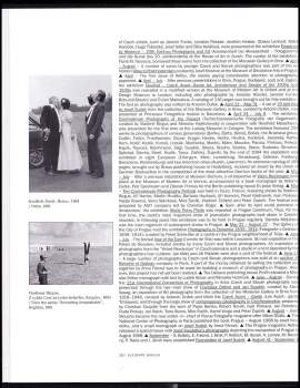 Vladimir Birgus: Česká fotografie 90. let